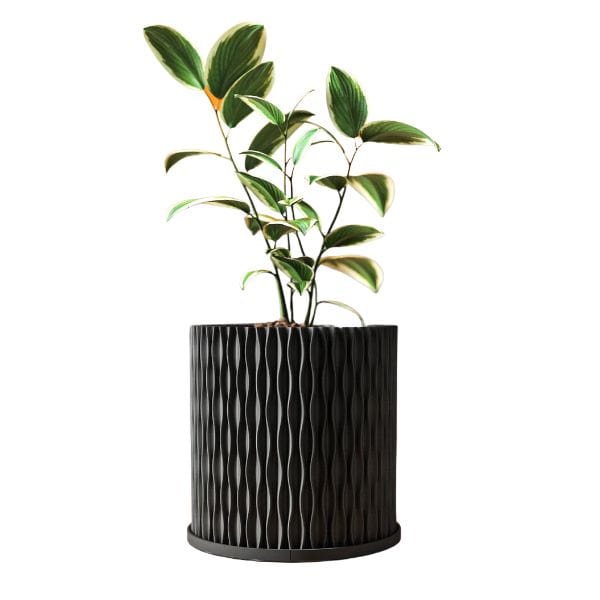 LARGE BLACK 3D PRINTED ECO BIO PLANTER 10" x 12"