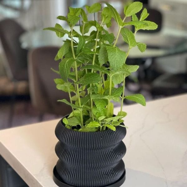 3D PRINTED ECO POTS WITH BASE 5" X 5"