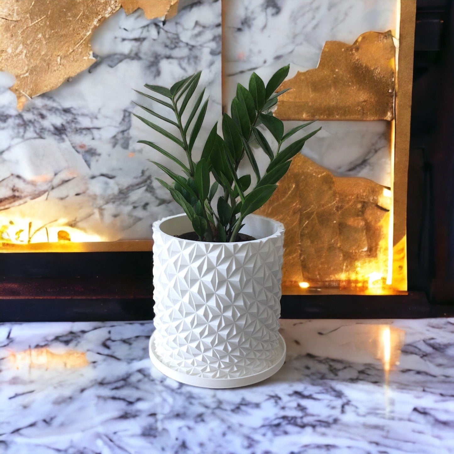 LOCALLY GROWN ZZ PLANT IN WHITE 3D PRINTED ECO PLANTER - 8" x 16"