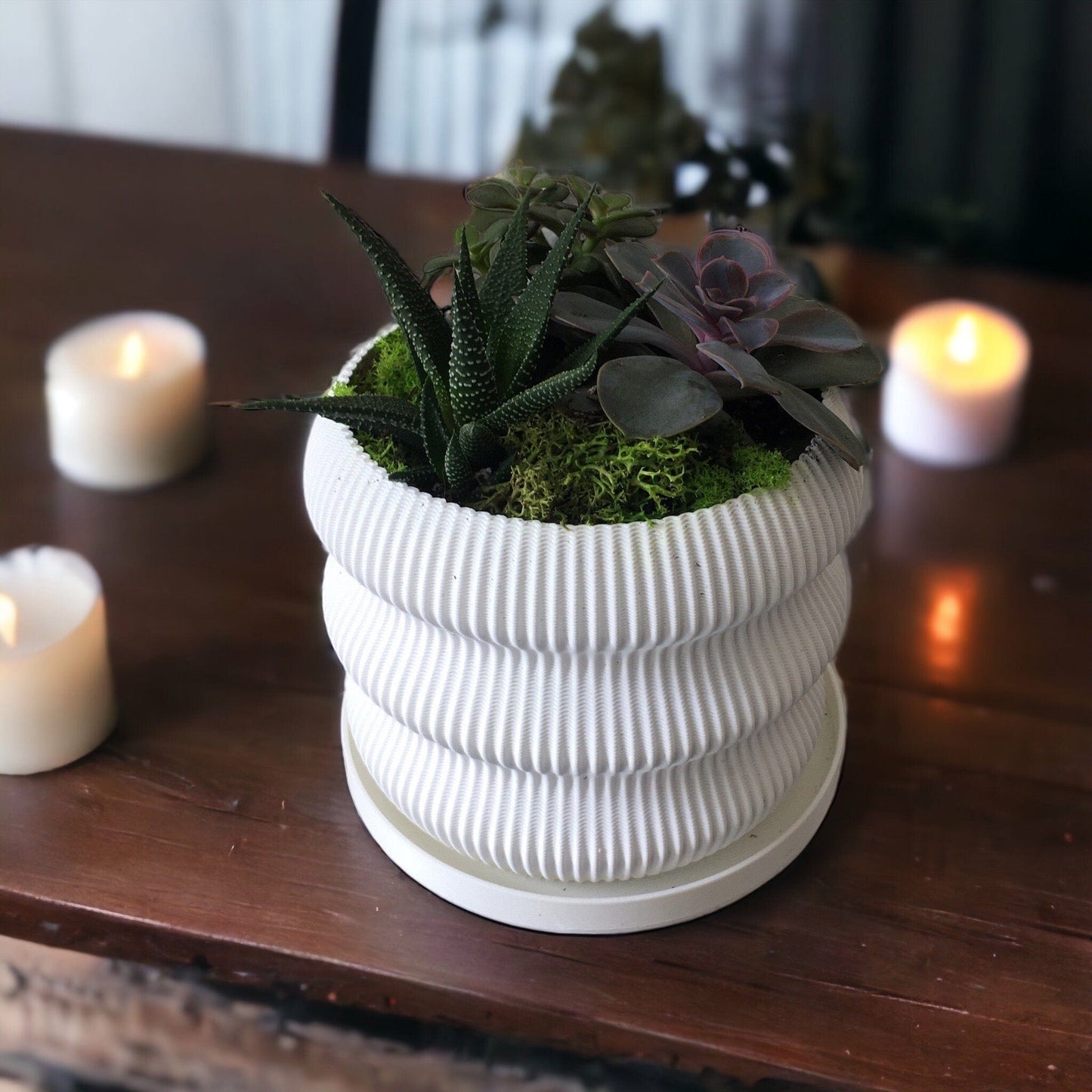 LOCALLY GROWN SUCCULENTS IN WHITE 3D PRINTED ECO POT - 5" x 7"