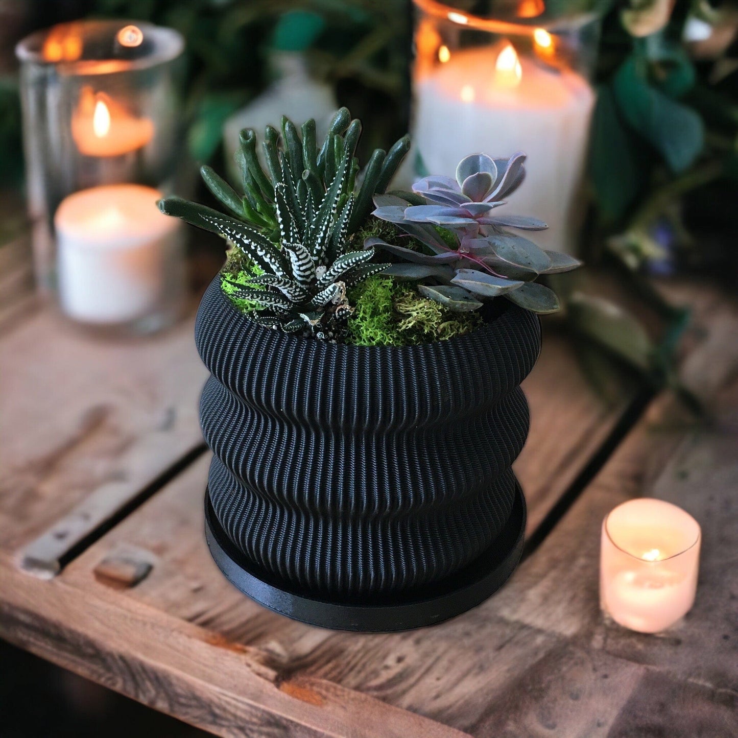 LOCALLY GROWN SUCCULENTS IN BLACK 3D PRINTED ECO POT - 5" x 7"