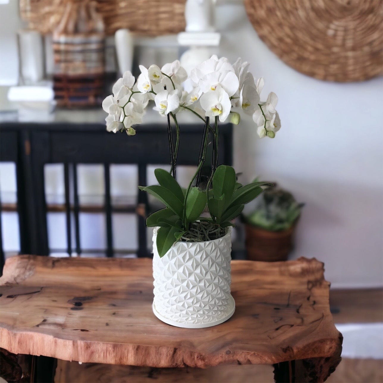 LOCALLY GROWN TRIPLE STEM WHITE PHALEONOPSIS ORCHID IN WHITE 3D PRINTED ECO PLANTER - 8" x 30"
